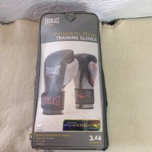 VTG Everlast 14 oz. Training Gloves, USED/Still have lots of useage.  Pro Style